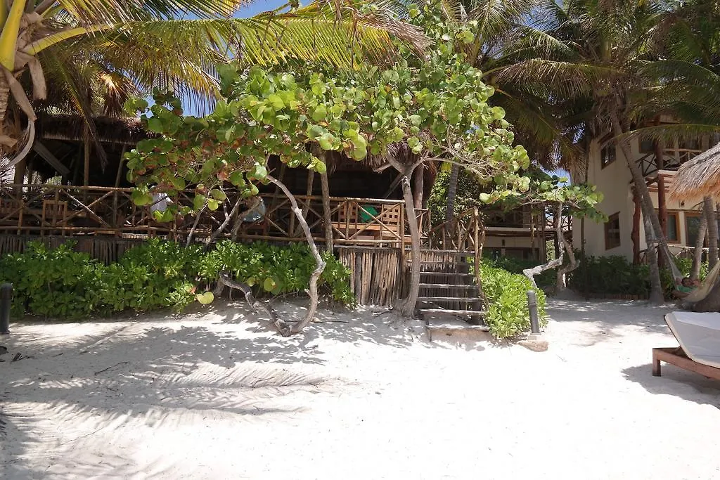 Hotel Rosa Del Viento Tulum