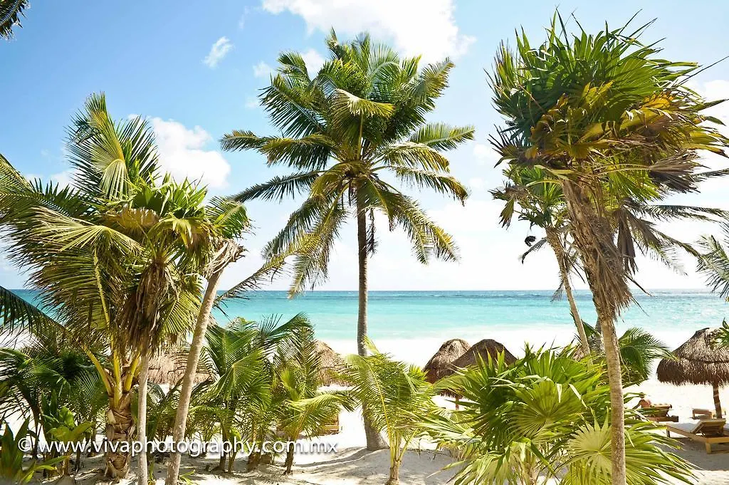 Hotel Rosa Del Viento Tulum