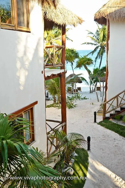 Hotel Rosa Del Viento Tulum