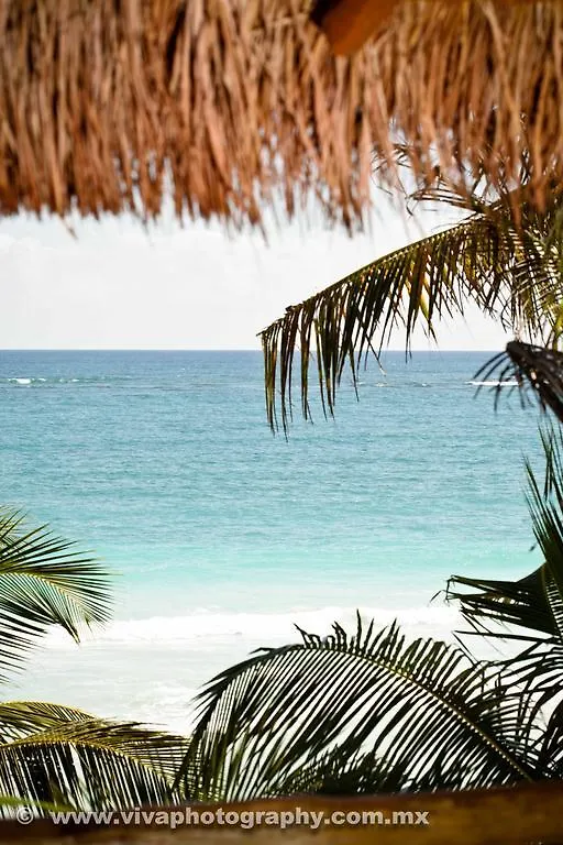 ****  Hotel Rosa Del Viento Tulum Mexiko