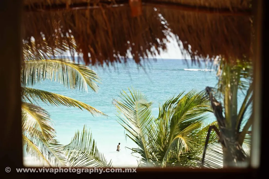 ****  Rosa Del Viento Otel Tulum Meksika