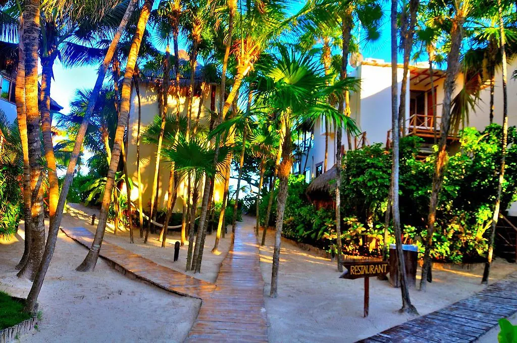 ****  Hotel Rosa Del Viento Tulum Mexiko
