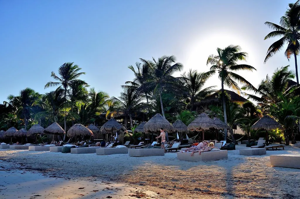 Hotel Rosa Del Viento Tulum