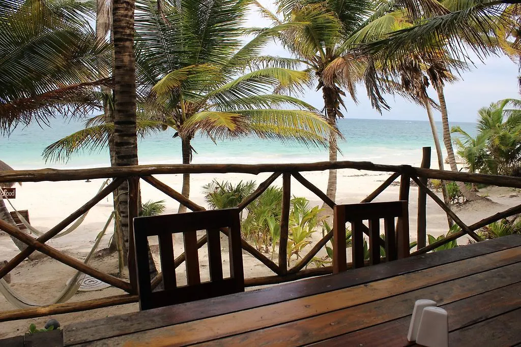Rosa Del Viento Hotel Tulum México