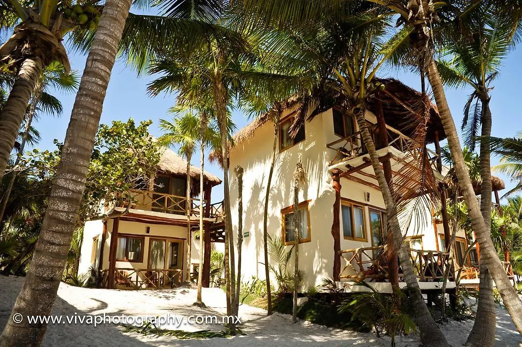 Rosa Del Viento Hotel Tulum