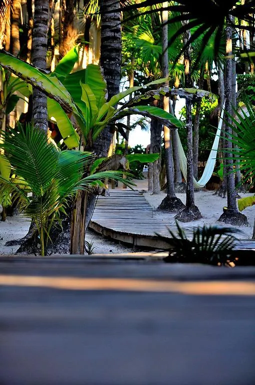 Rosa Del Viento Hotel Tulum México
